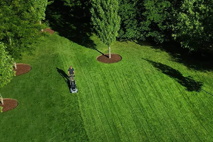 lawn mower deals